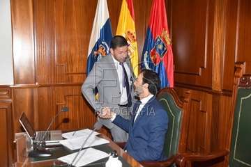 Pleno ordinario de enero de 2020 (Foto TA)